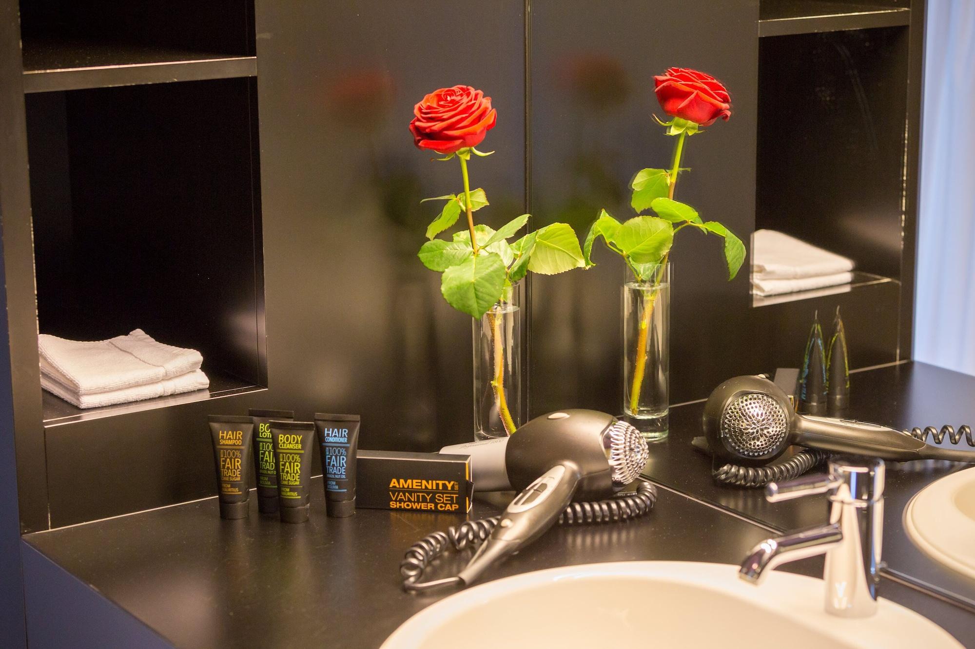 Dasbreitehotel Am Rhein 3* Basilea
